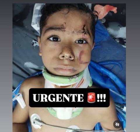 Foto de Sebastián Torrealba Rodríguez