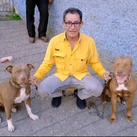 Foto de Gregorio Rafael Gutiérrez veliz