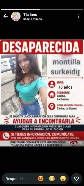 Foto de Surkeidir