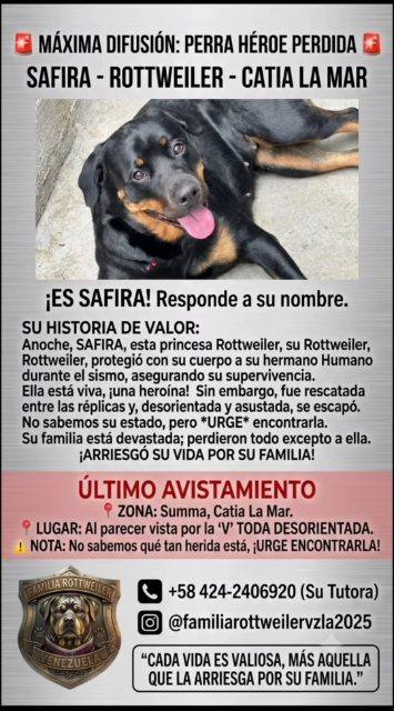 Foto de Safira Rottweiler