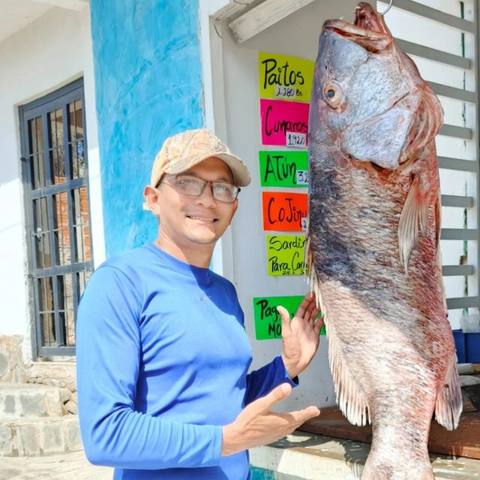 Foto de JOSE ANDRES VILLAROEL APONTE