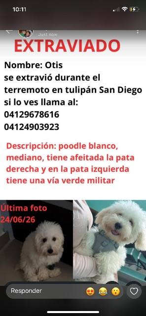Foto de Otis