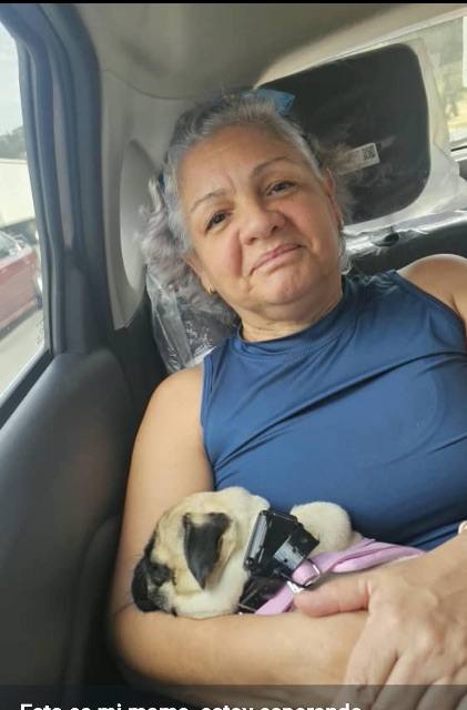 Foto de Isabel tejera