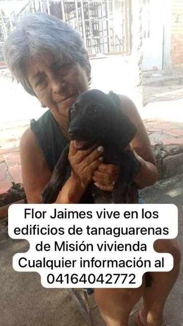 Foto de Flor Elba Jaimes