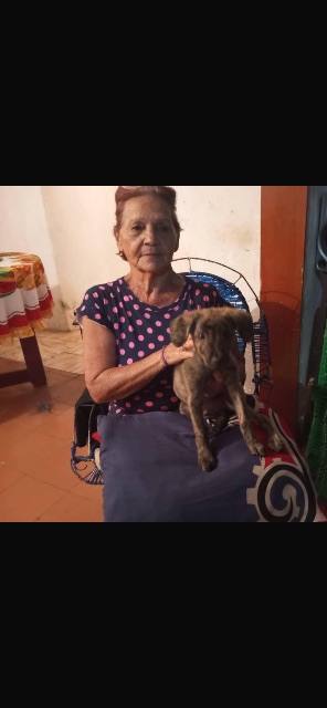 Foto de Gladys margarita González