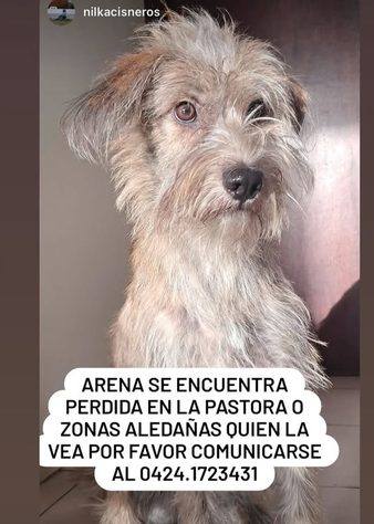 Foto de Arena