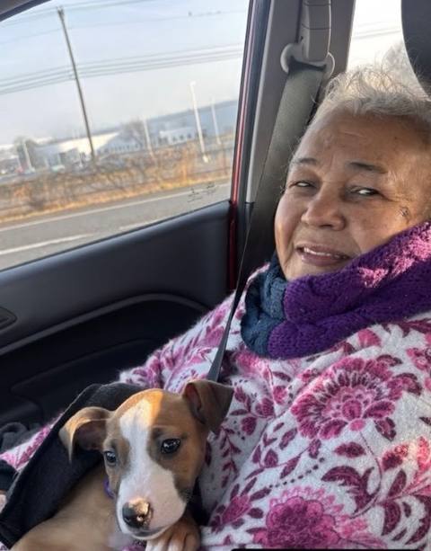 Foto de Isabel de Da Silva Olivares