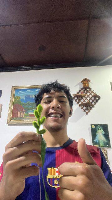 Foto de Hans Castillo