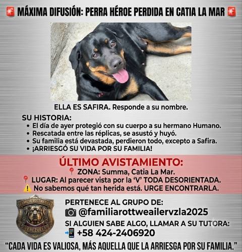 Foto de Safira