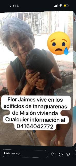 Foto de Flor Jaimes