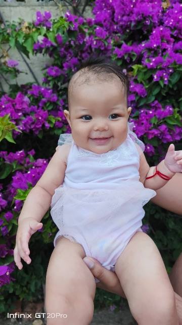 Foto de Rosmary chourio