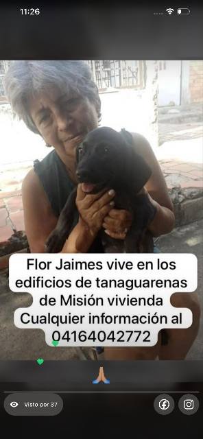 Foto de Flor Jaime