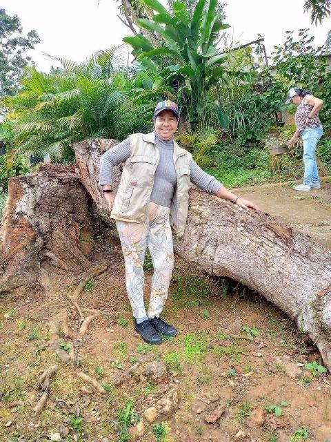 Foto de Liria Margarita guerra de Gonzalez