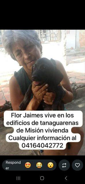 Foto de Flor jaime