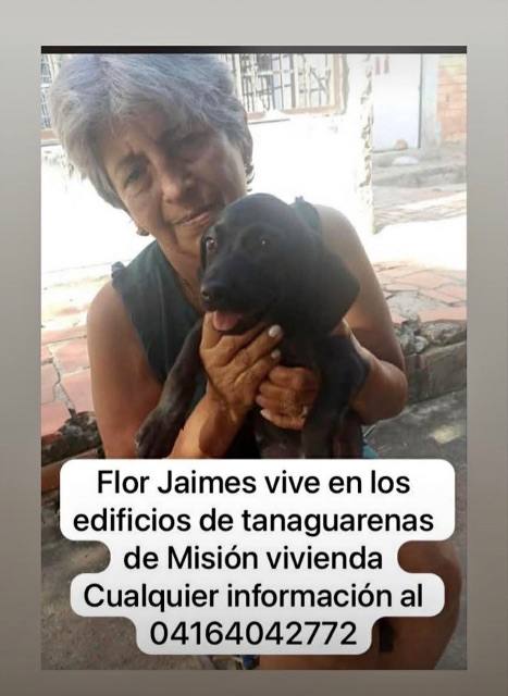 Foto de Flor jaime
