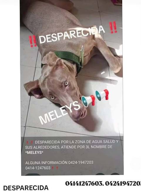 Foto de Meleys