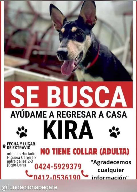 Foto de Kira