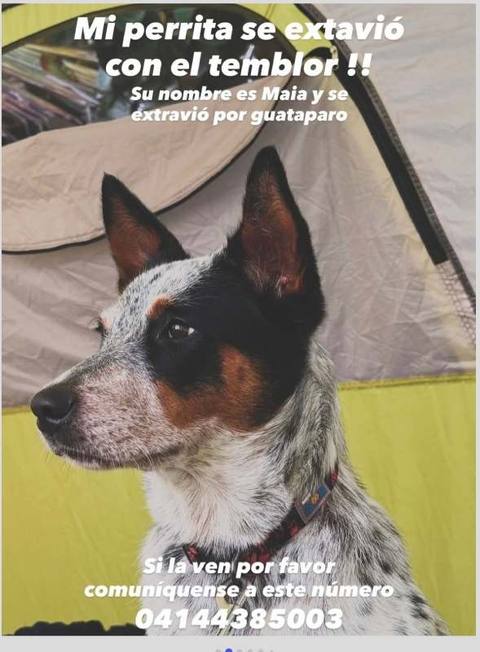 Foto de Maia Maia
