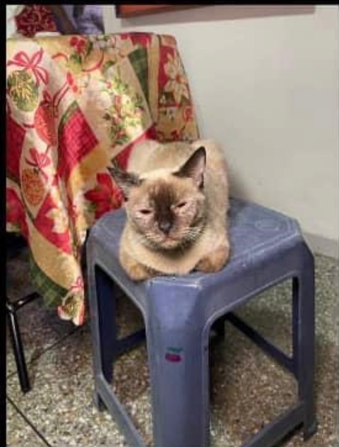 Foto de Nena Gata