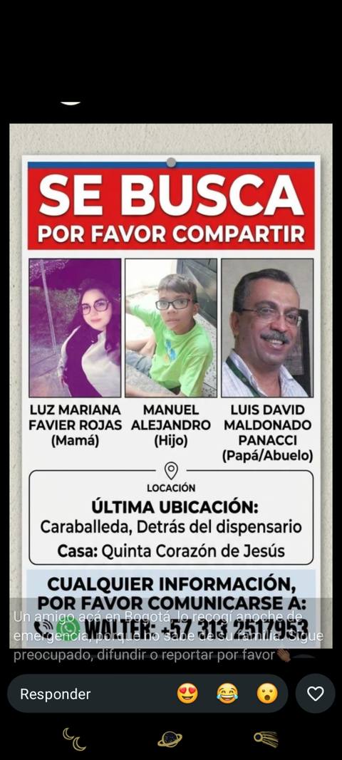 Foto de Luz Mariana favier rojas peinado