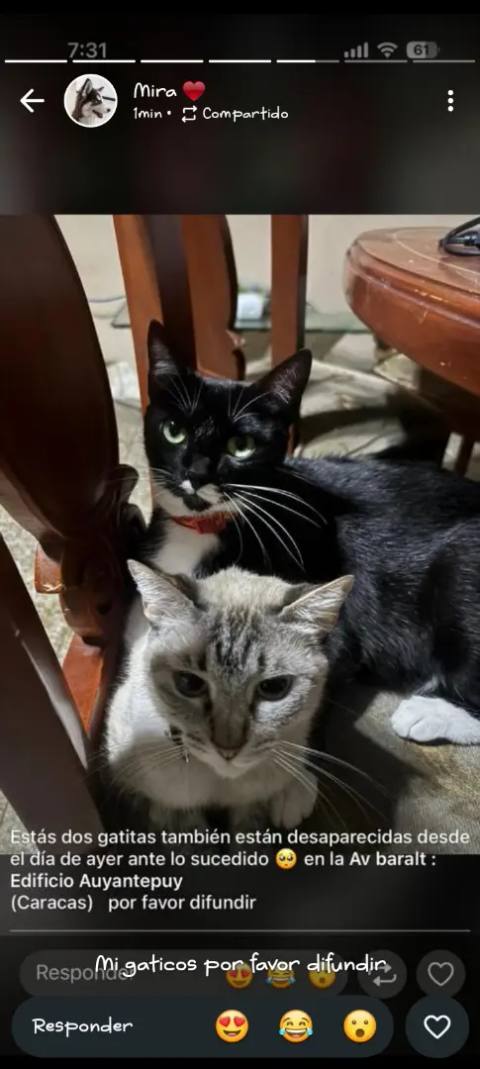 Foto de Negra y nina ruiz