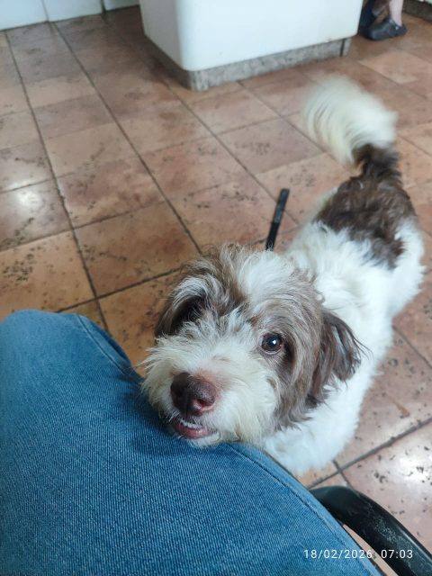 Foto de Rocco Sin Apellido
