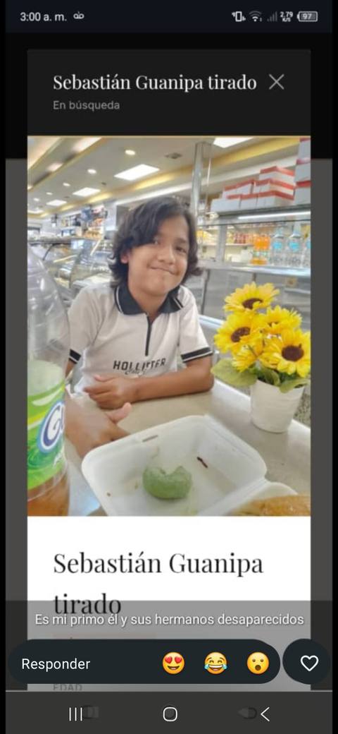 Foto de Sebastian Alexander Guanipa Tirado