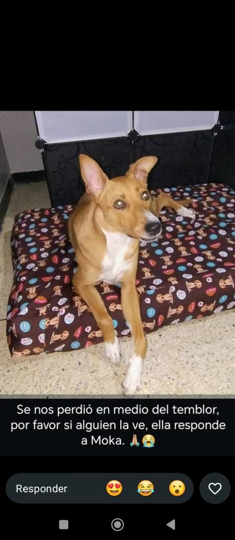 Foto de Mokita De Jesús