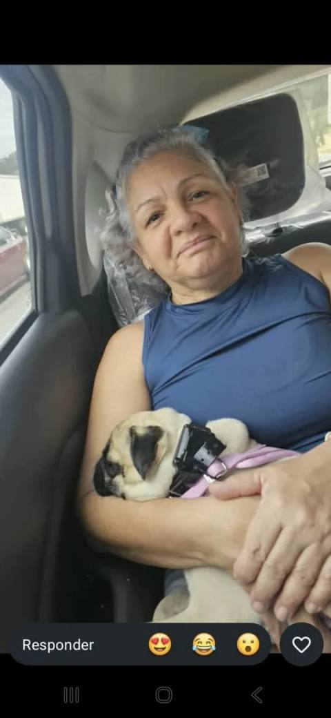 Foto de Ysable Cristina Tejera Oropeza