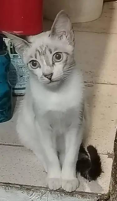 Foto de Luna Luna