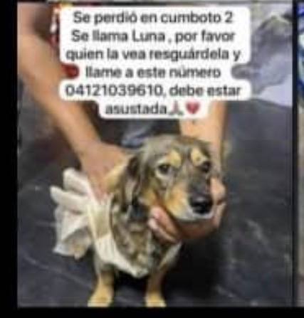 Foto de Luna Luna
