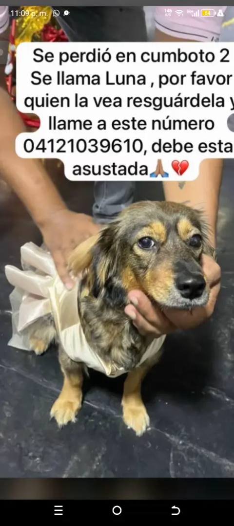 Foto de Se llama Luna