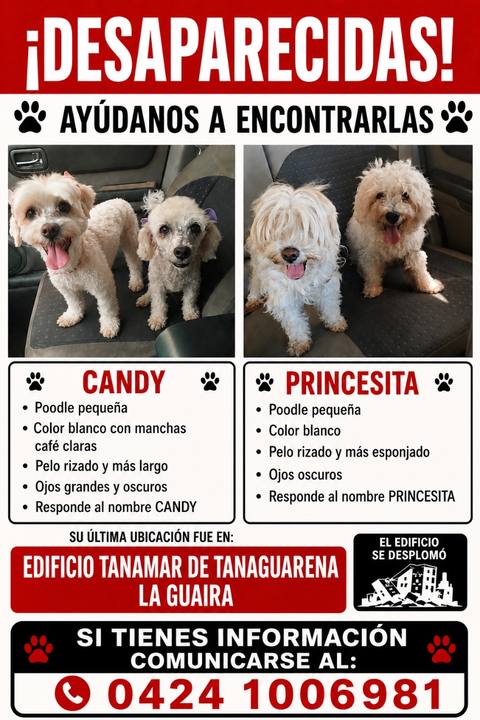 Foto de Candy y princesa